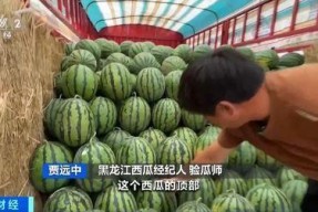 西藏扎西枫丹娱乐吃瓜,吃瓜群众眼中的神秘娱乐王国