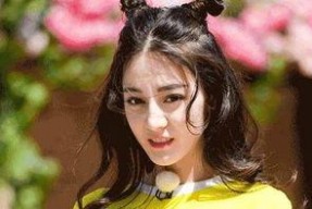 娱乐圈吃瓜明星代号田字格